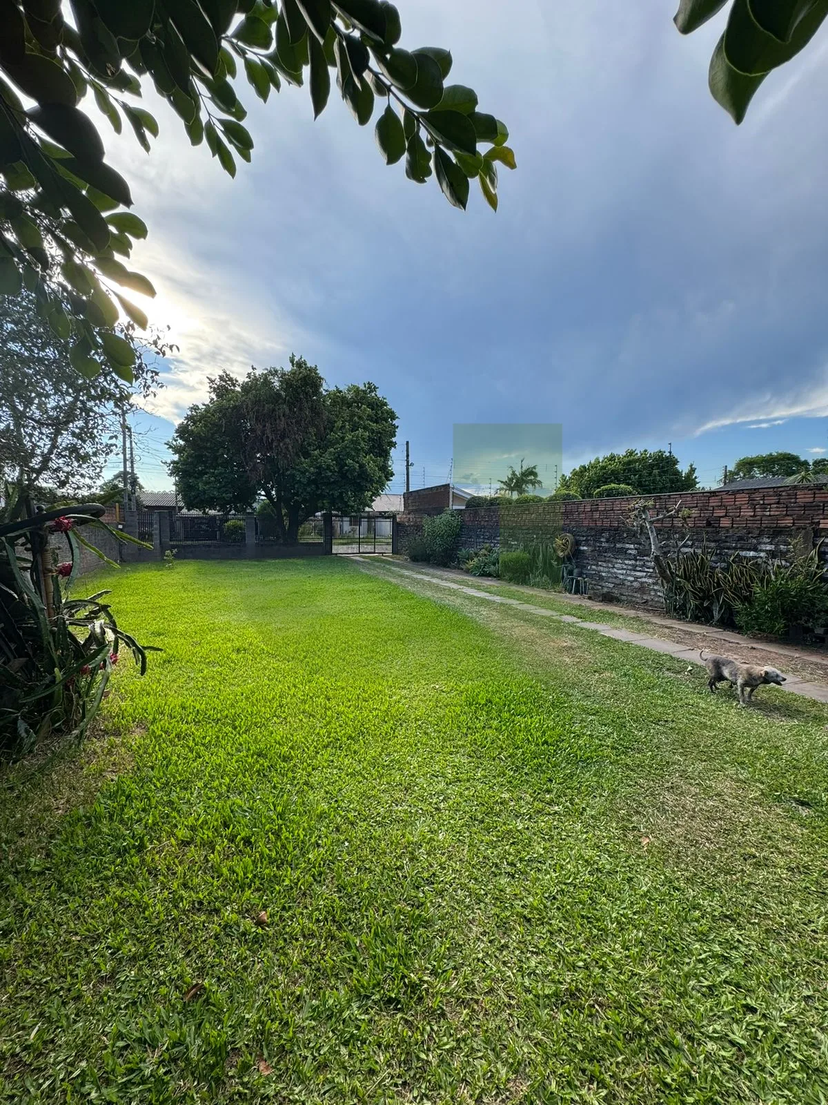 Comprar Casa / Residencial em S&atilde;o Leopoldo R$ 380.000,00 - Foto 3