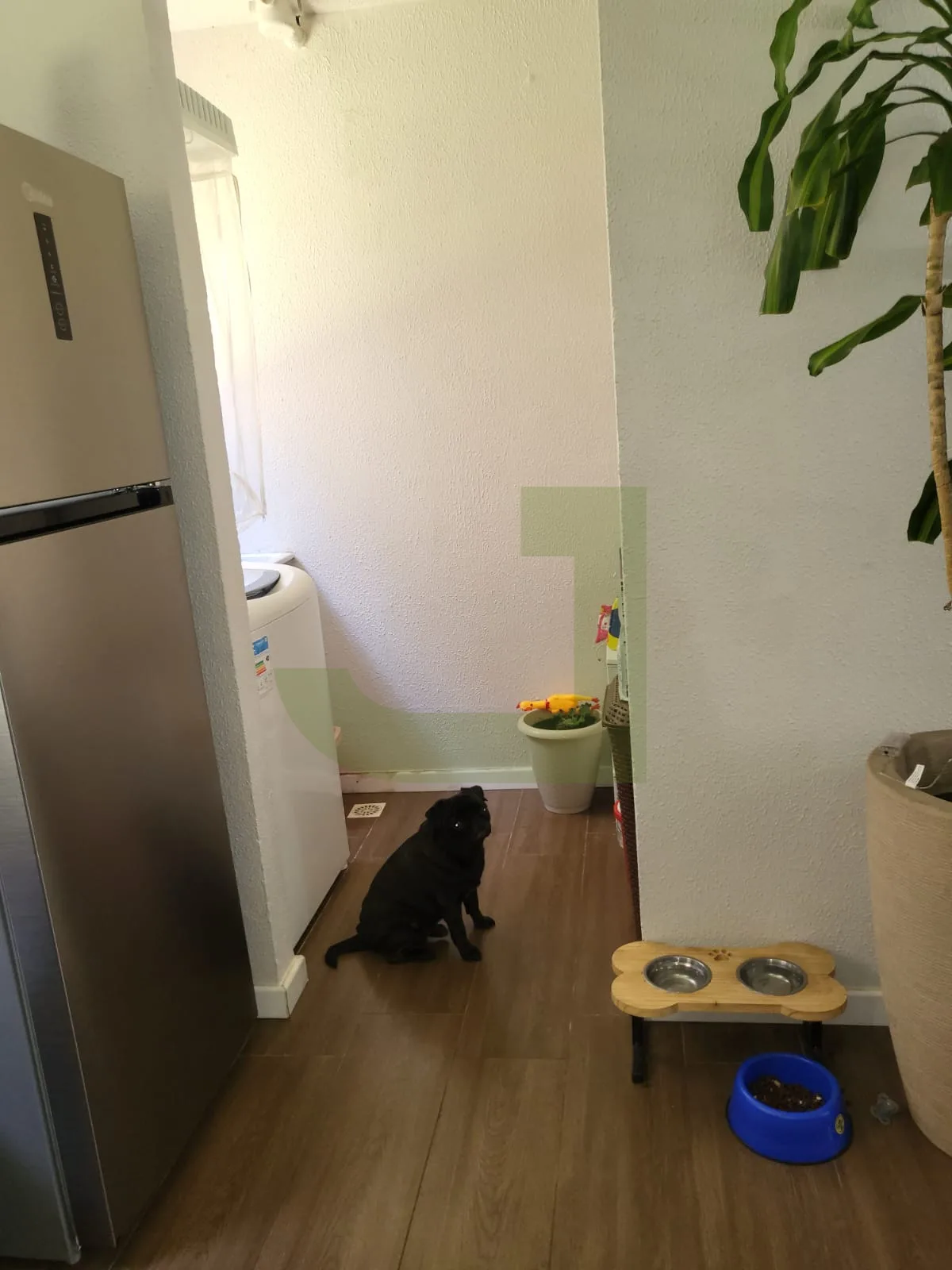 Comprar Apartamento / Padr&atilde;o em S&atilde;o Leopoldo R$ 185.000,00 - Foto 5