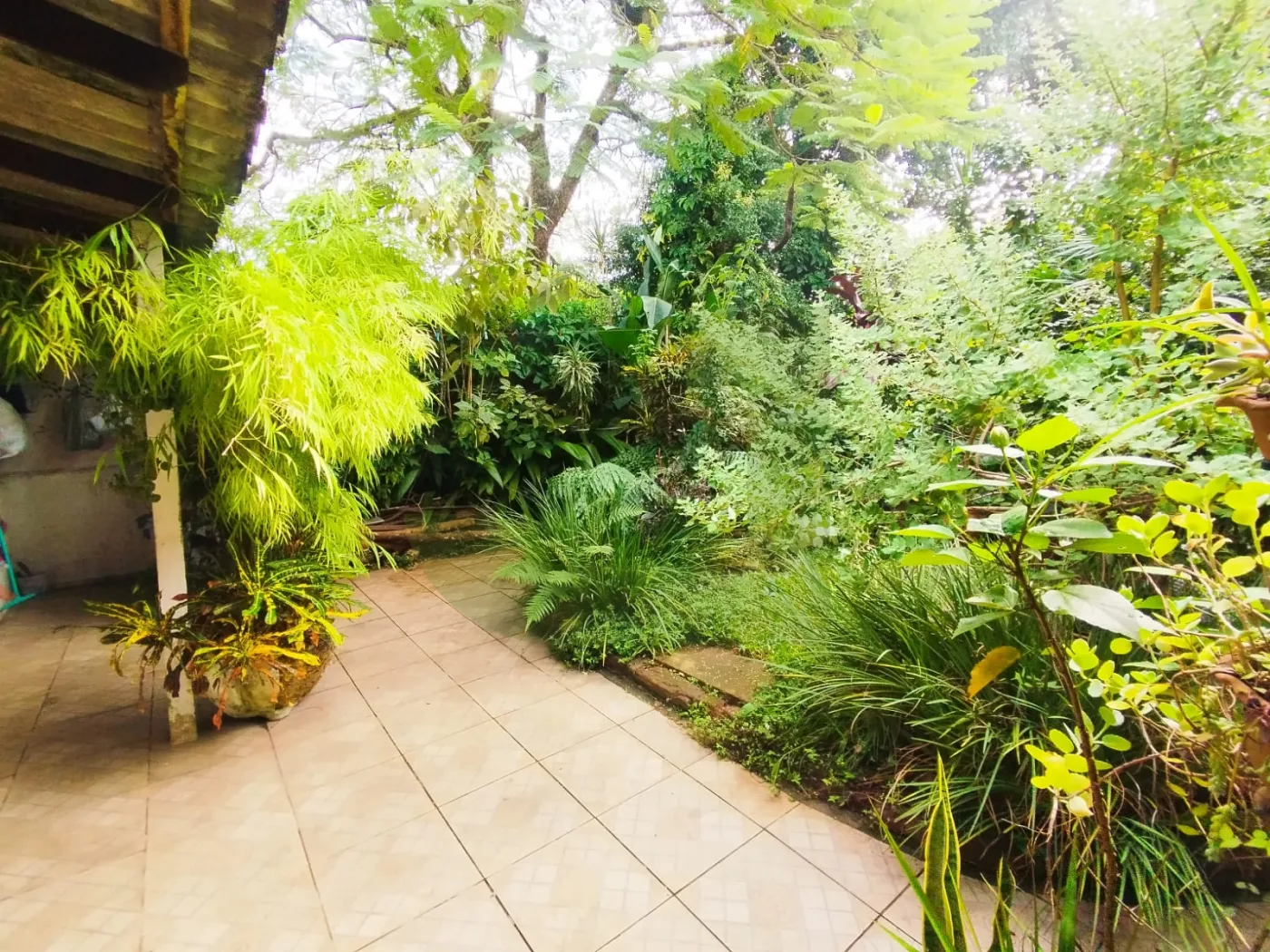 Comprar Casa / ComercialResidencial em S&atilde;o Leopoldo R$ 1.500.000,00 - Foto 34