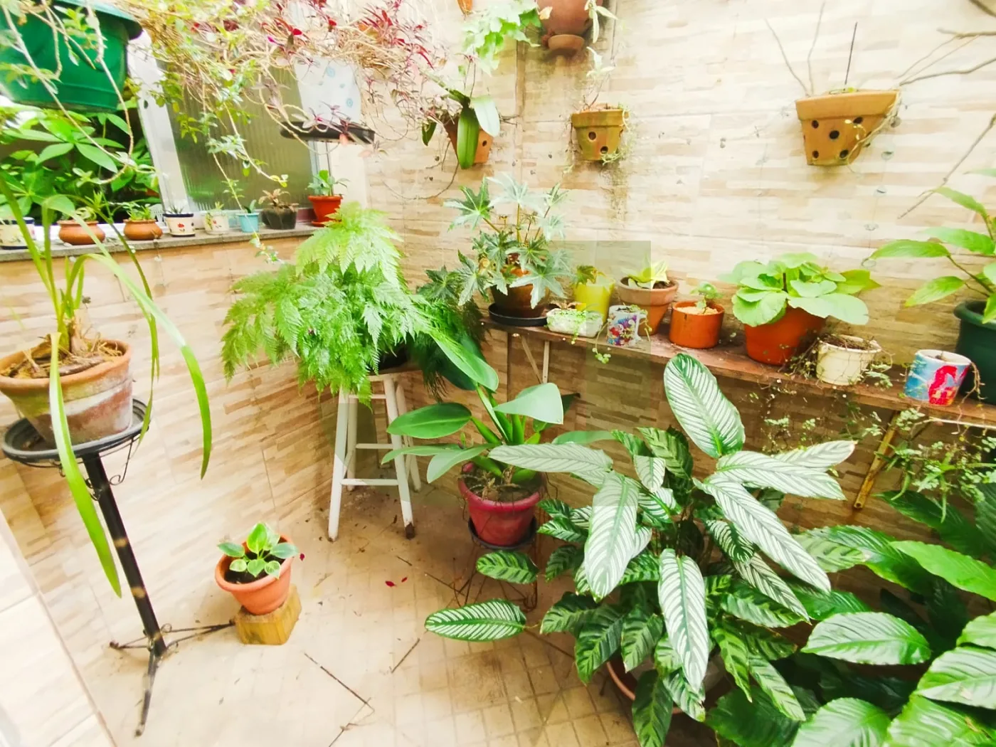 Comprar Casa / ComercialResidencial em S&atilde;o Leopoldo R$ 1.500.000,00 - Foto 35