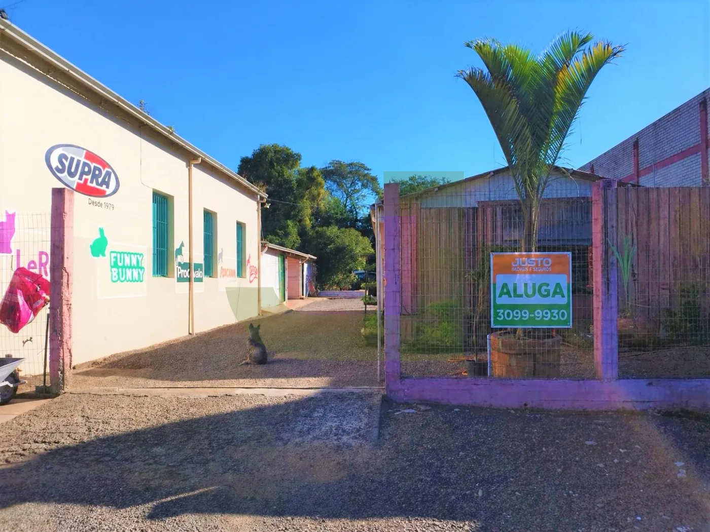 Alugar Terreno / Padr&atilde;o em S&atilde;o Leopoldo R$ 2.500,00 - Foto 1