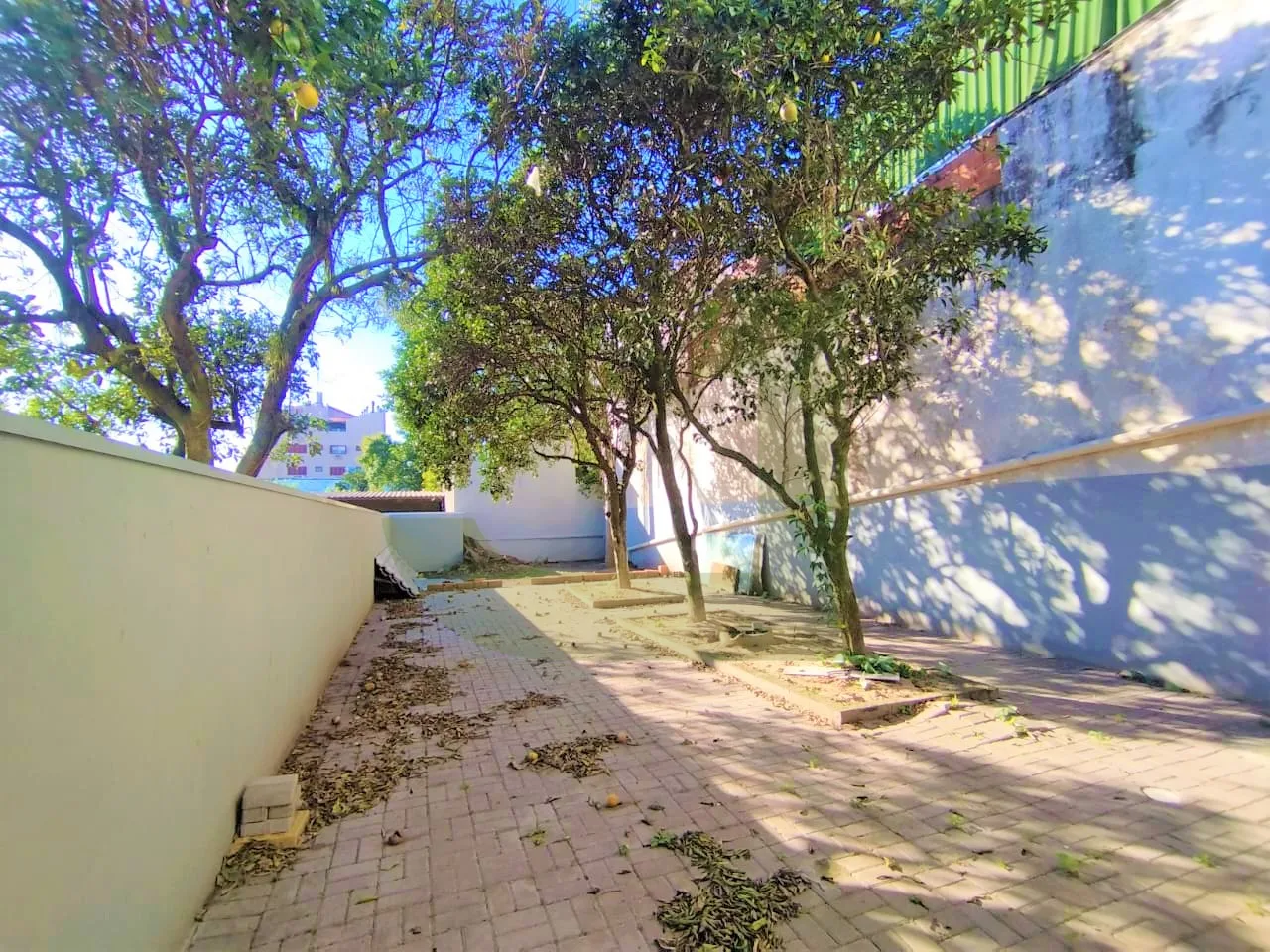 Alugar Comercial / Loja em S&atilde;o Leopoldo R$ 3.150,00 - Foto 5