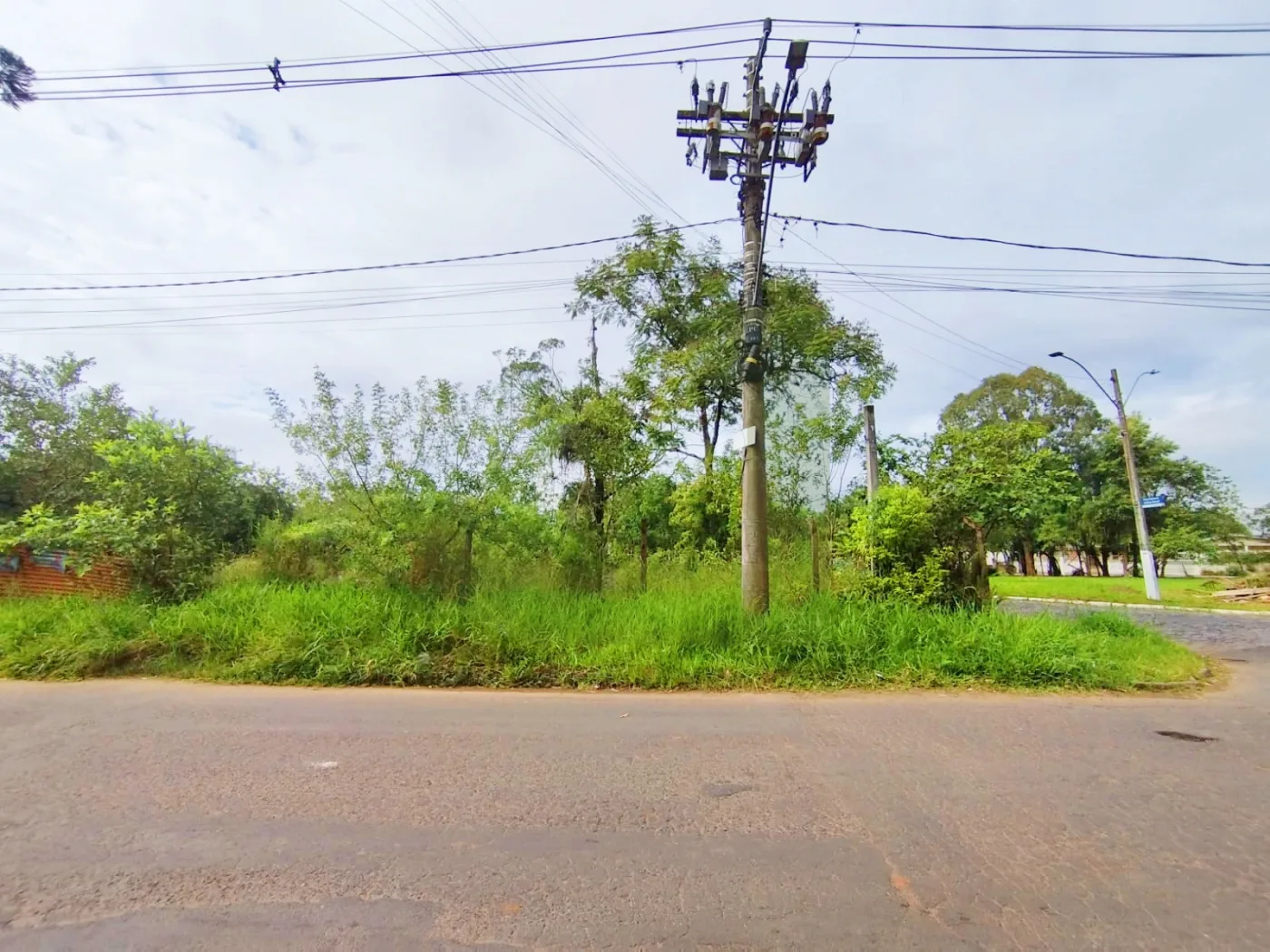 Alugar Terreno / Padr&atilde;o em S&atilde;o Leopoldo R$ 1.500,00 - Foto 1