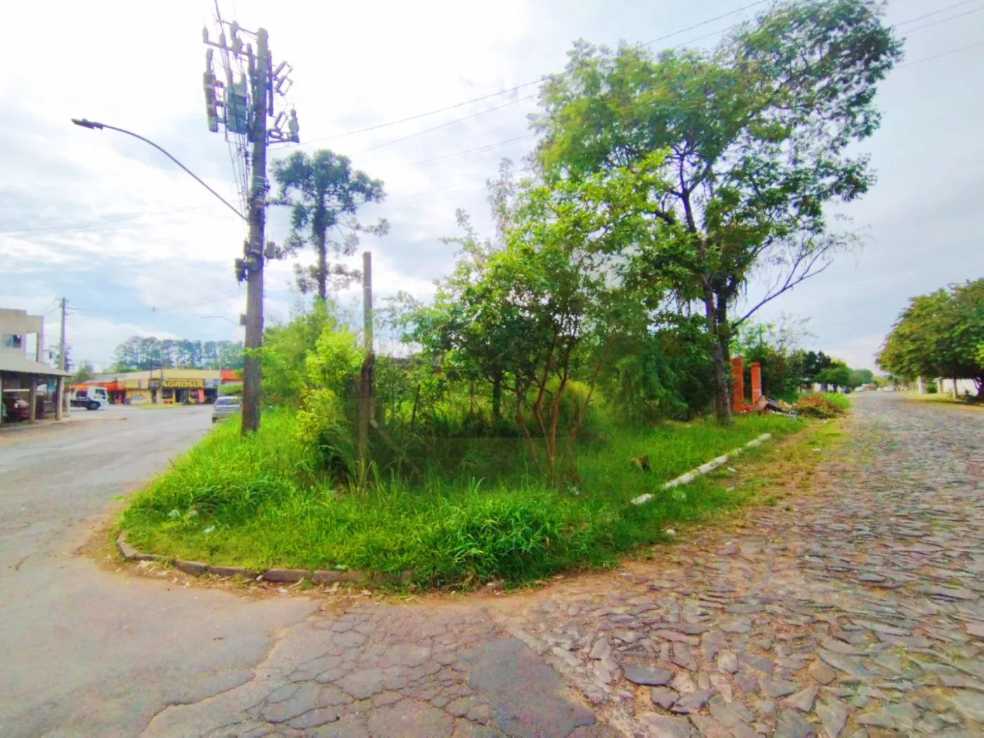 Alugar Terreno / Padr&atilde;o em S&atilde;o Leopoldo R$ 1.500,00 - Foto 2