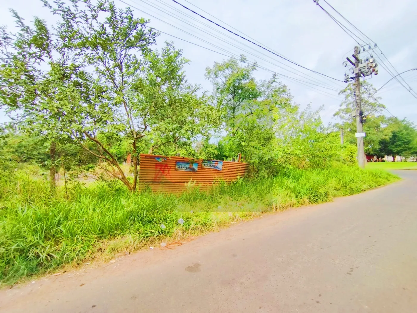 Alugar Terreno / Padr&atilde;o em S&atilde;o Leopoldo R$ 1.500,00 - Foto 3