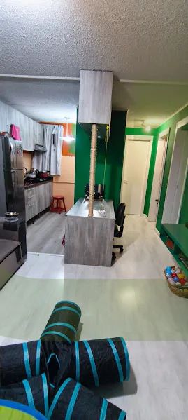 Comprar Apartamento / Padr&atilde;o em S&atilde;o Leopoldo R$ 235.000,00 - Foto 2
