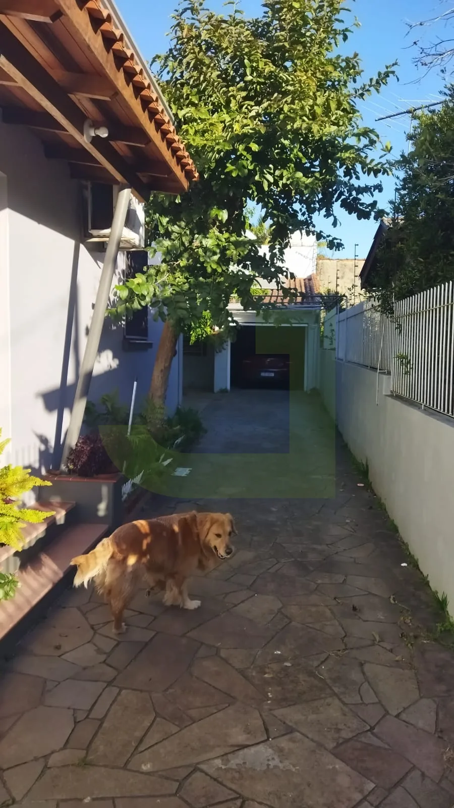 Comprar Casa / Residencial em S&atilde;o Leopoldo R$ 490.000,00 - Foto 3