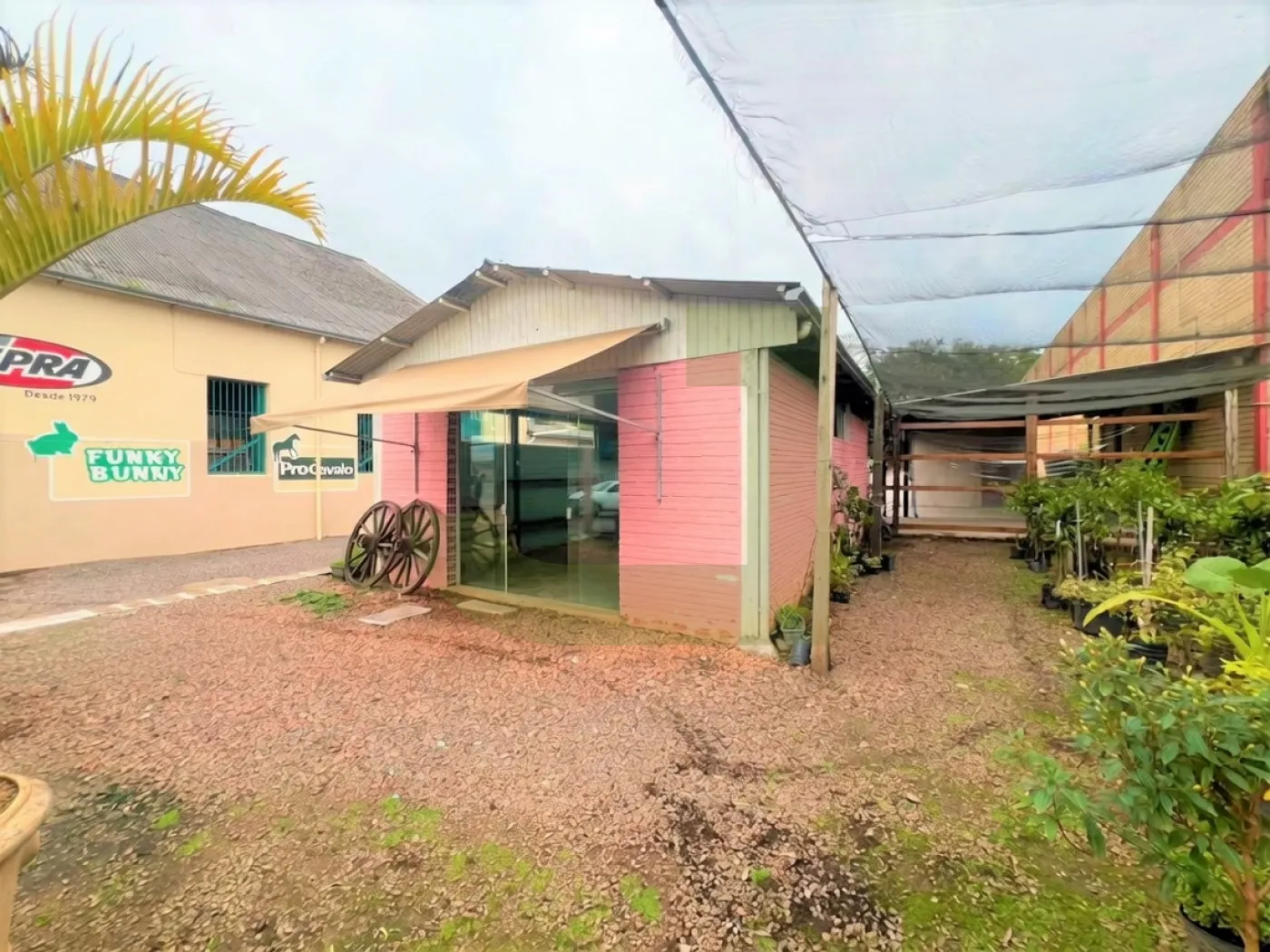 Alugar Comercial / Loja em S&atilde;o Leopoldo R$ 1.680,00 - Foto 5