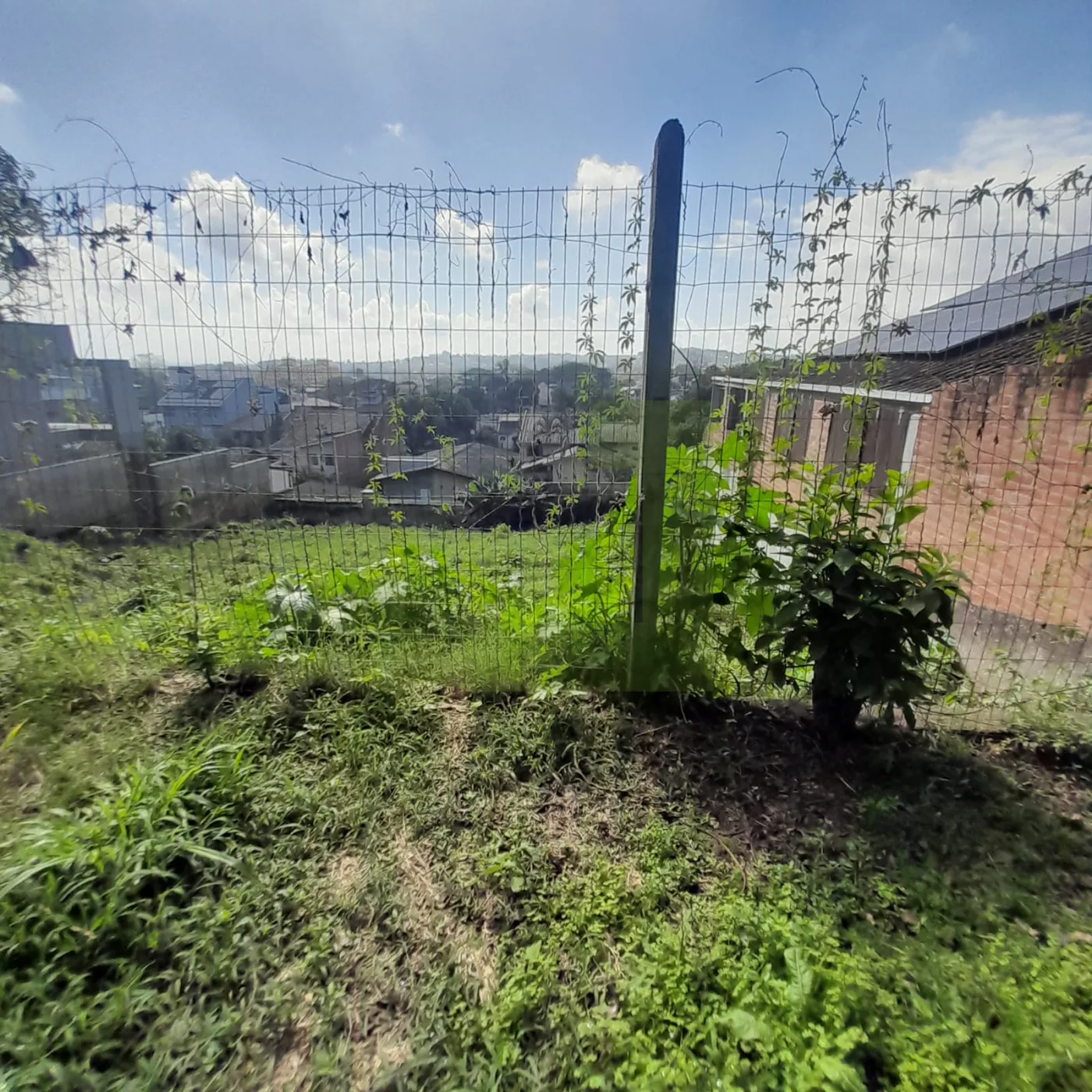 Comprar Terreno / Padr&atilde;o em S&atilde;o Leopoldo R$ 229.000,00 - Foto 1