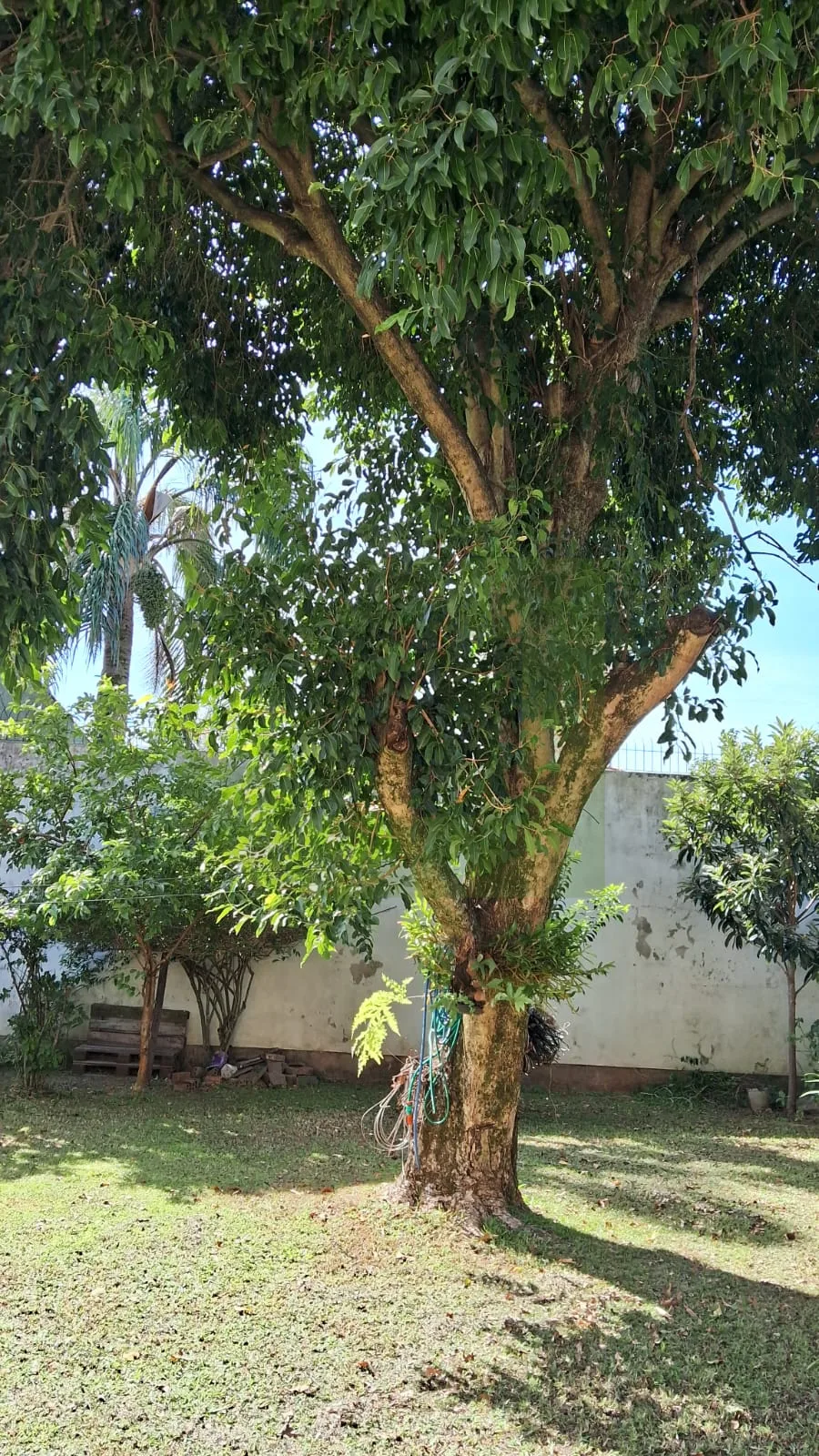 Comprar Casa / Residencial em S&atilde;o Leopoldo R$ 1.280.000,00 - Foto 20