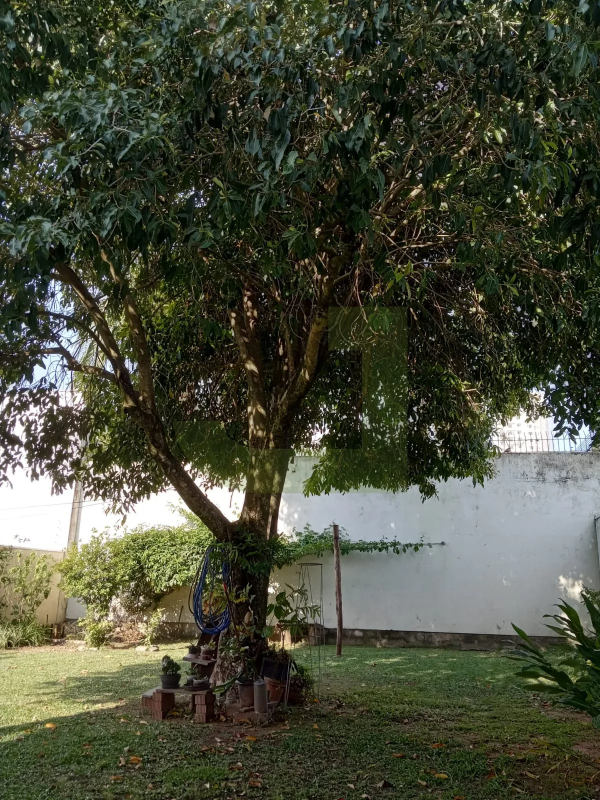 Comprar Casa / Residencial em S&atilde;o Leopoldo R$ 1.280.000,00 - Foto 21