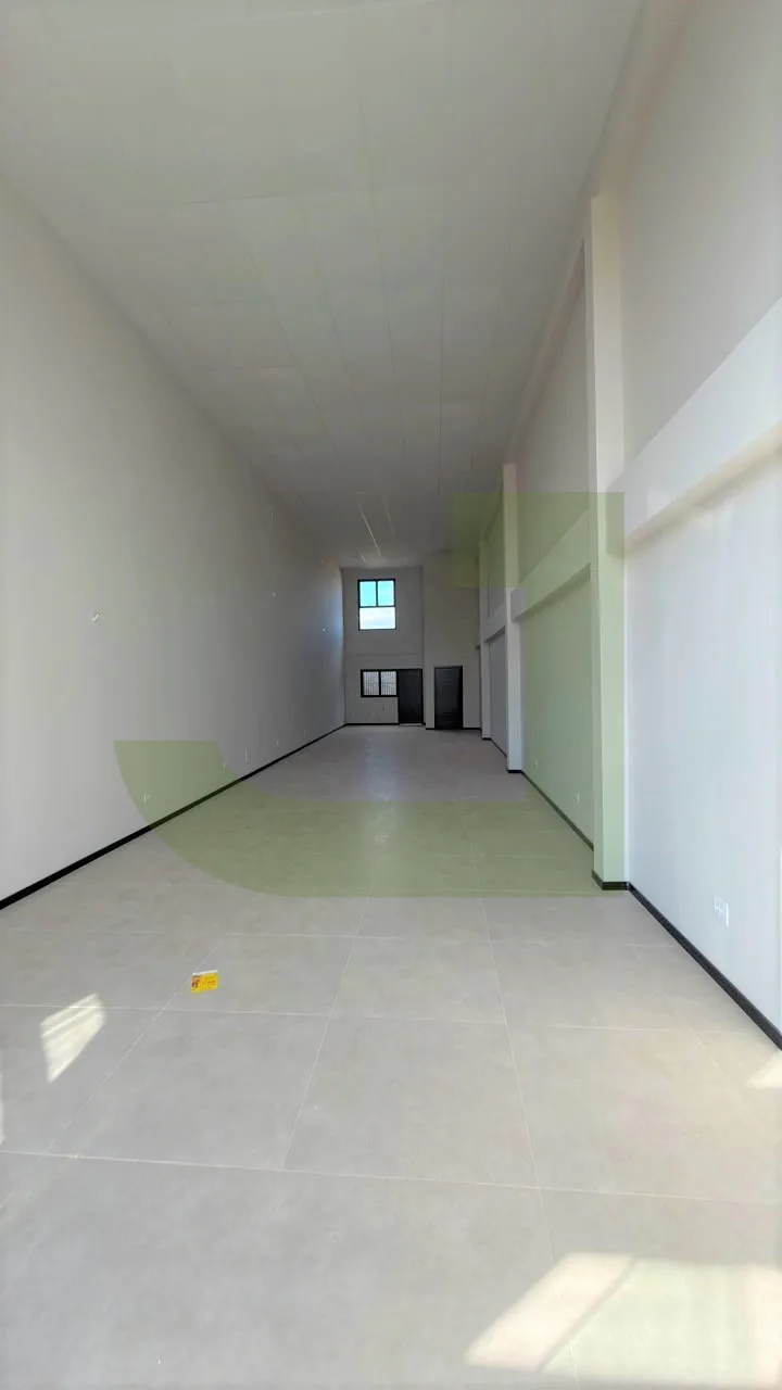 Alugar Comercial / Loja em S&atilde;o Leopoldo R$ 5.000,00 - Foto 3