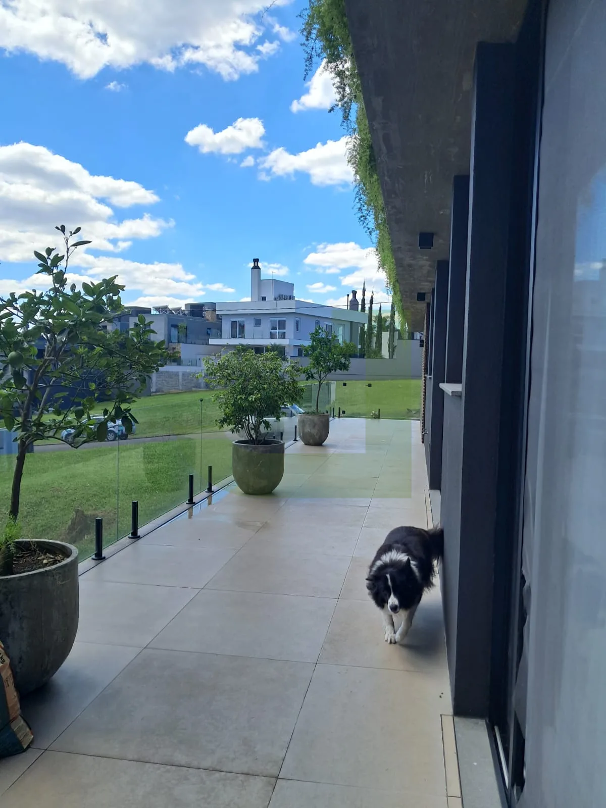 Comprar Casa / Condom&iacute;nio em S&atilde;o Leopoldo R$ 4.050.000,00 - Foto 22