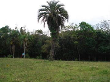 Terreno à venda em Lomba Grande, Novo Hamburgo — foto 4