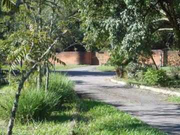 Comercial à venda em Fazenda São Borja, São Leopoldo — foto 5
