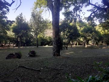 Terreno à venda em Campestre, São Leopoldo — foto 1