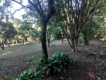 Terreno à venda em Campestre, São Leopoldo — foto 2