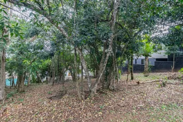 Terreno à venda em Santo André, São Leopoldo — foto 2