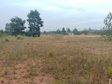 Terreno à venda em Fazenda São Borja, São Leopoldo — foto 5