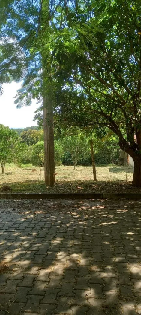 Terreno à venda em Campestre, São Leopoldo — foto 2