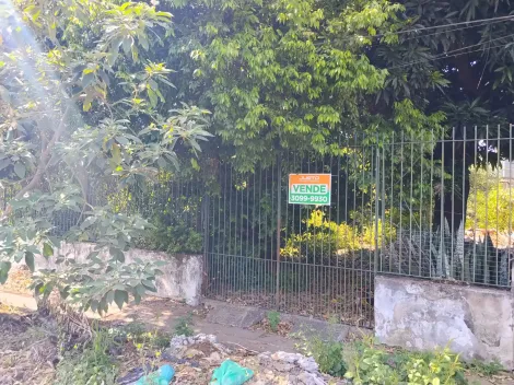 Terreno à venda em Vicentina, São Leopoldo — foto 2