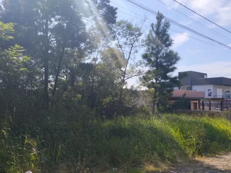 Terreno à venda em Campestre, São Leopoldo — foto 2