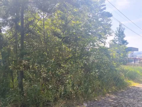 Terreno à venda em Campestre, São Leopoldo — foto 1