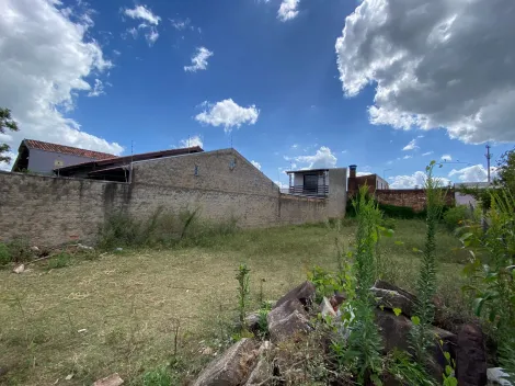 Terreno à venda em Vicentina, São Leopoldo — foto 2