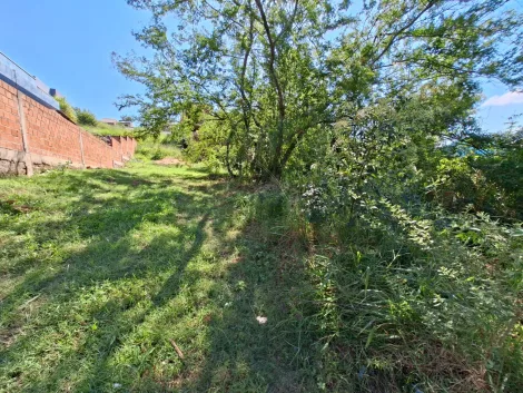 Terreno à venda em Campestre, São Leopoldo — foto 2