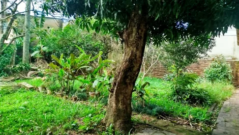 Casa à venda em Cristo Rei, São Leopoldo — foto 4