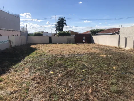 Sao Jose do Rio Preto Vila Moreira Terreno Locacao R$ 3.500,00  Area do terreno 940.00m2 