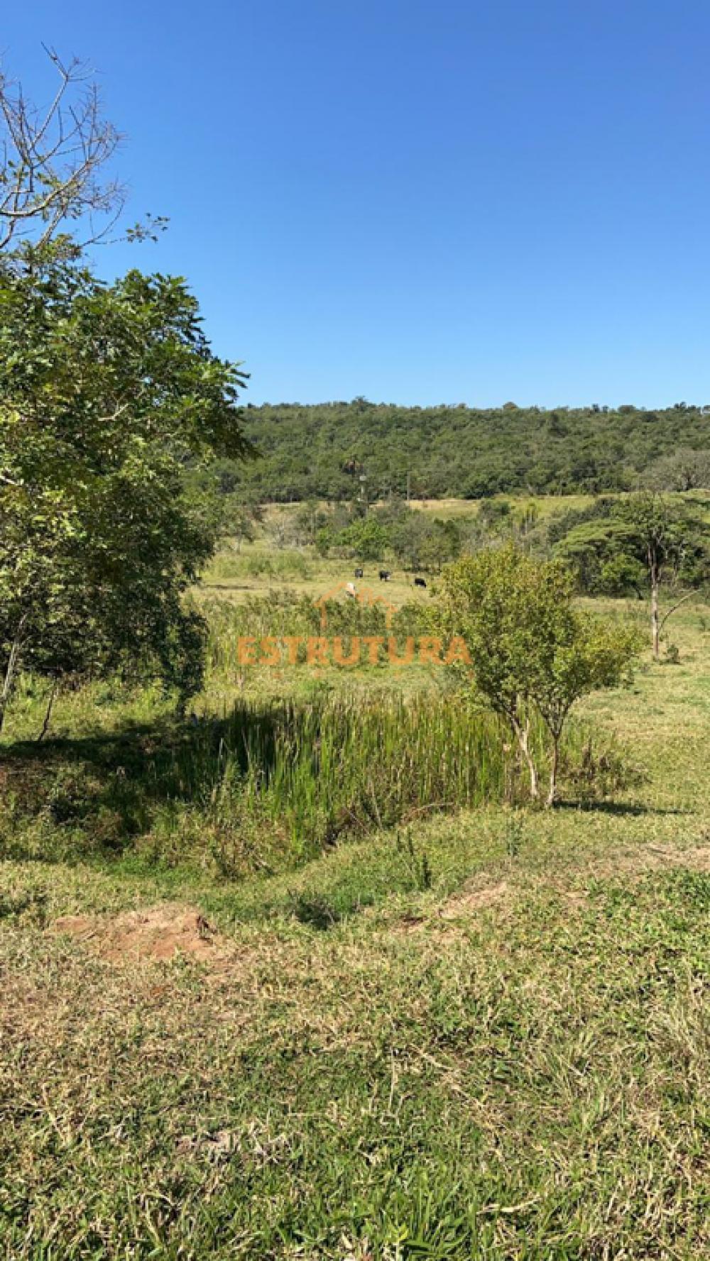 Comprar Rural / S&iacute;tio em Corumbata&iacute; R$ 330.000,00 - Foto 9