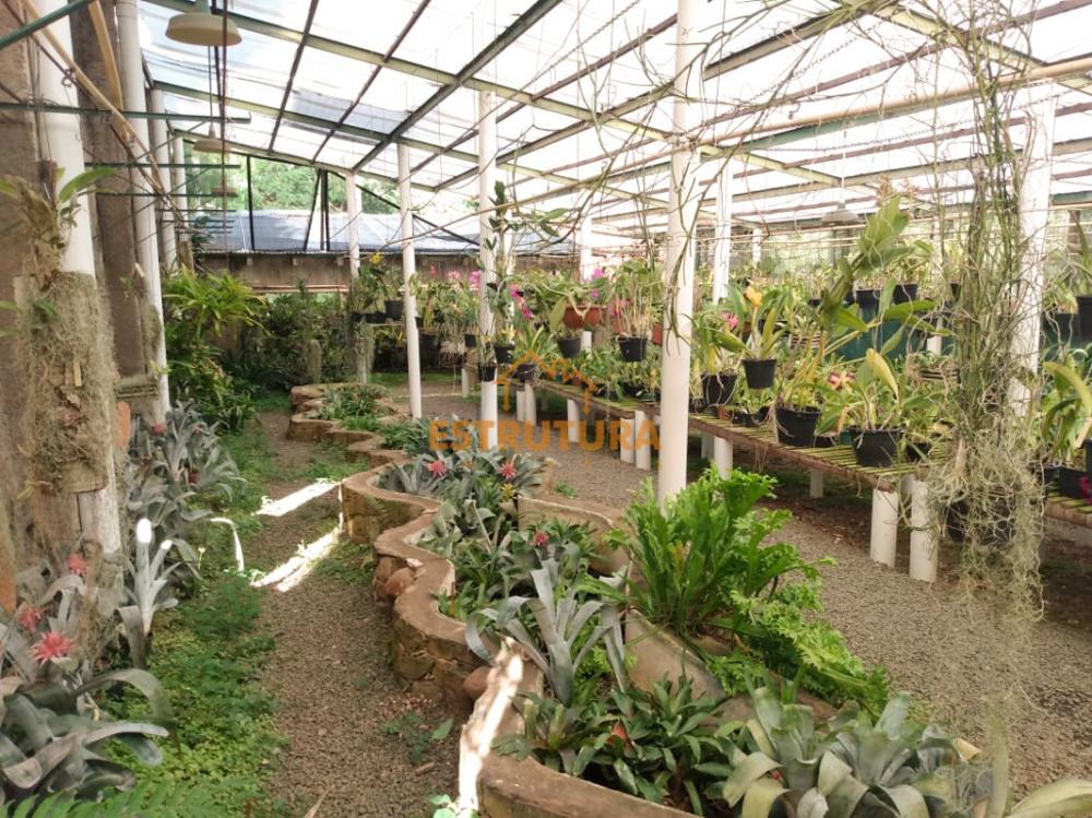 Comprar Terreno / Padr&atilde;o em Rio Claro R$ 600.000,00 - Foto 5