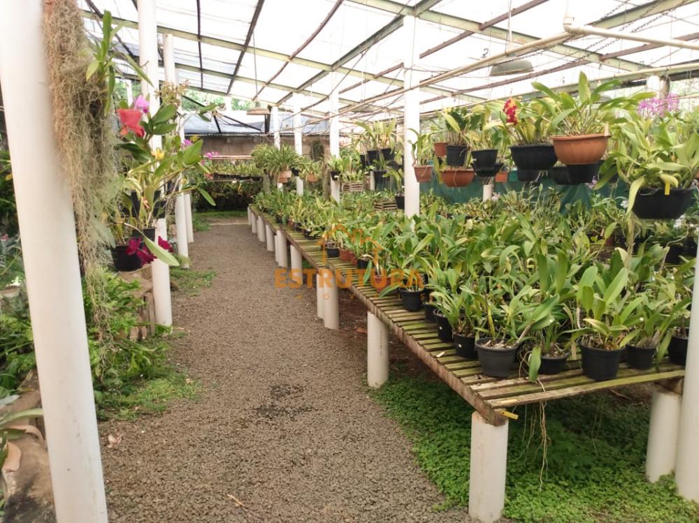 Comprar Terreno / Padr&atilde;o em Rio Claro R$ 600.000,00 - Foto 7