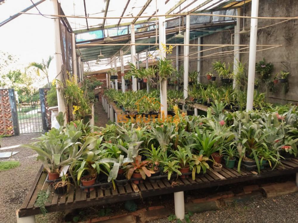 Comprar Terreno / Padr&atilde;o em Rio Claro R$ 600.000,00 - Foto 8