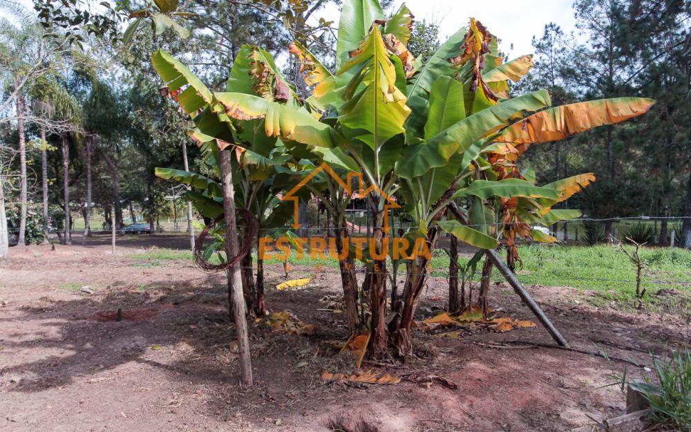 Comprar Rural / S&iacute;tio em Corumbata&iacute; R$ 3.800.000,00 - Foto 31