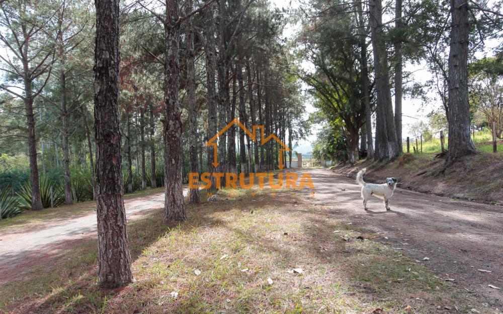 Comprar Rural / S&iacute;tio em Corumbata&iacute; R$ 3.800.000,00 - Foto 34