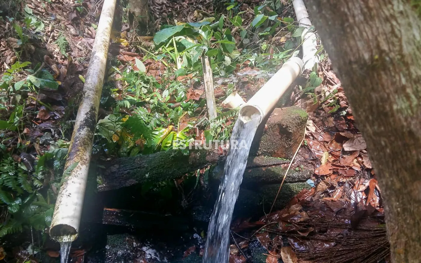 Comprar Comercial / Ponto Comercial em Corumbata&iacute; R$ 6.000.000,00 - Foto 22