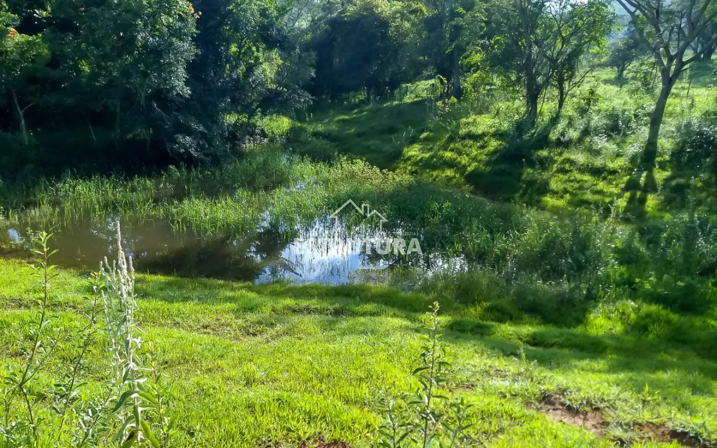 Comprar Rural / S&iacute;tio em Corumbata&iacute; R$ 250.000,00 - Foto 8