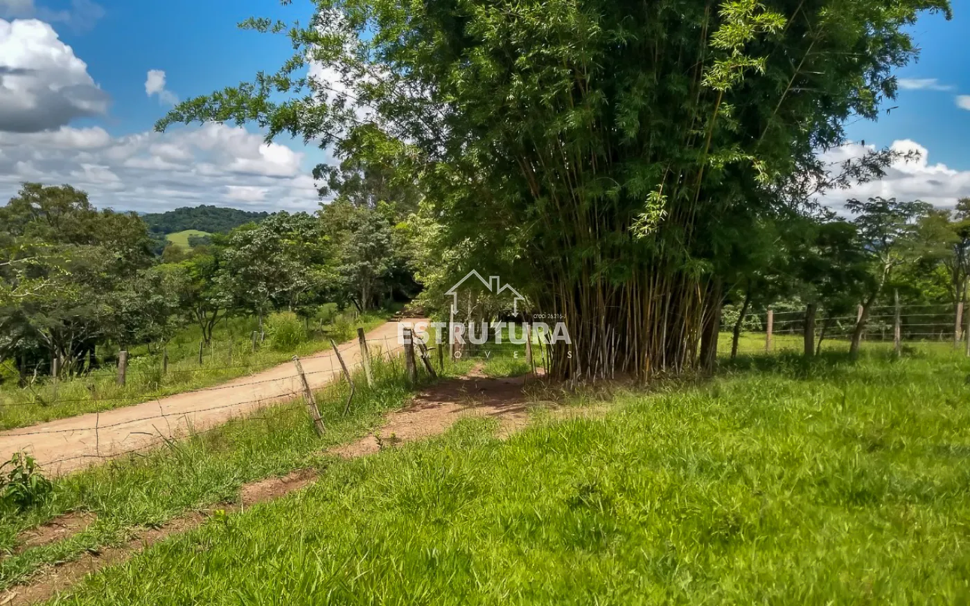 Comprar Rural / S&iacute;tio em Corumbata&iacute; R$ 250.000,00 - Foto 6