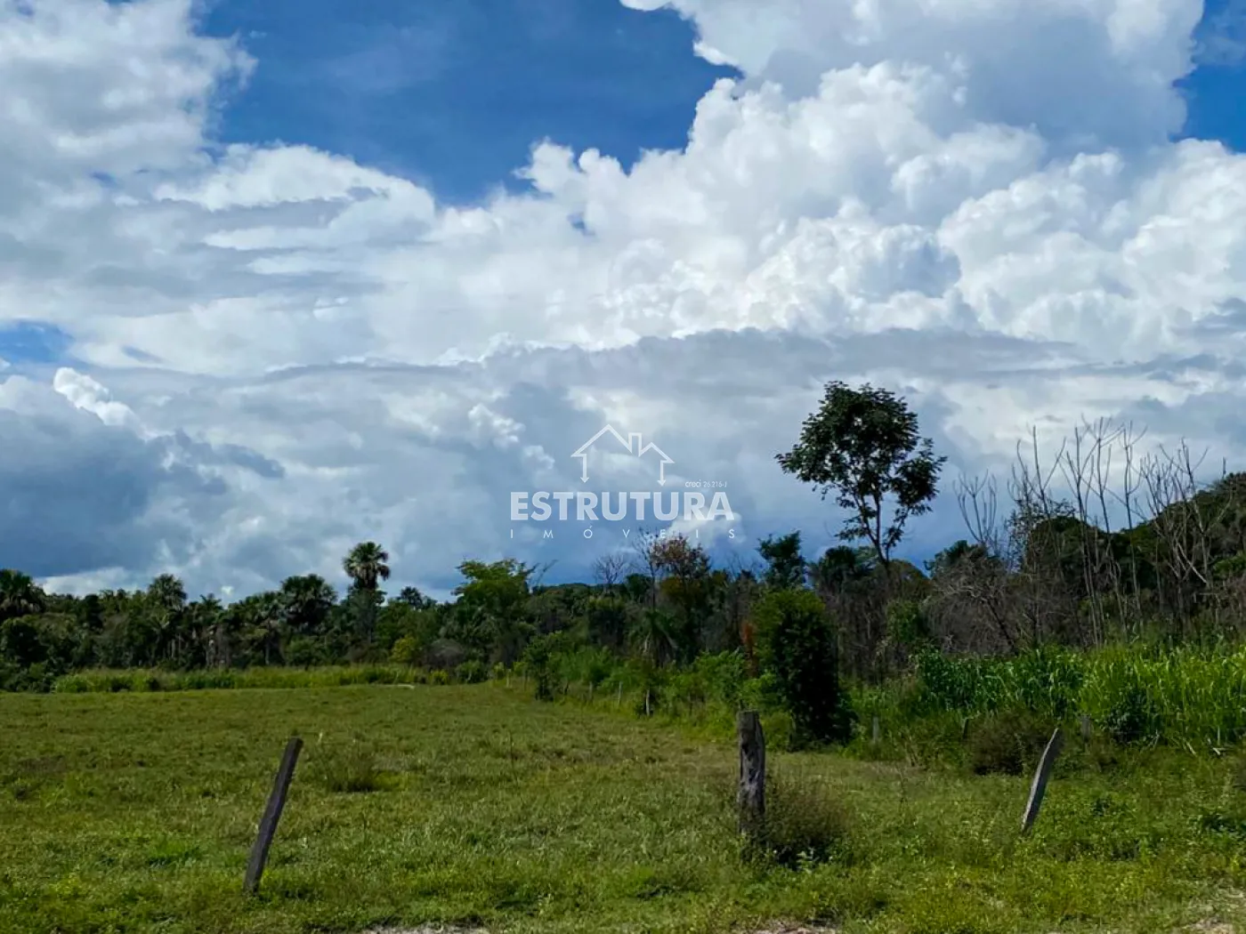 Comprar Rural / Fazenda em Novo Acordo R$ 21.840.500,00 - Foto 6