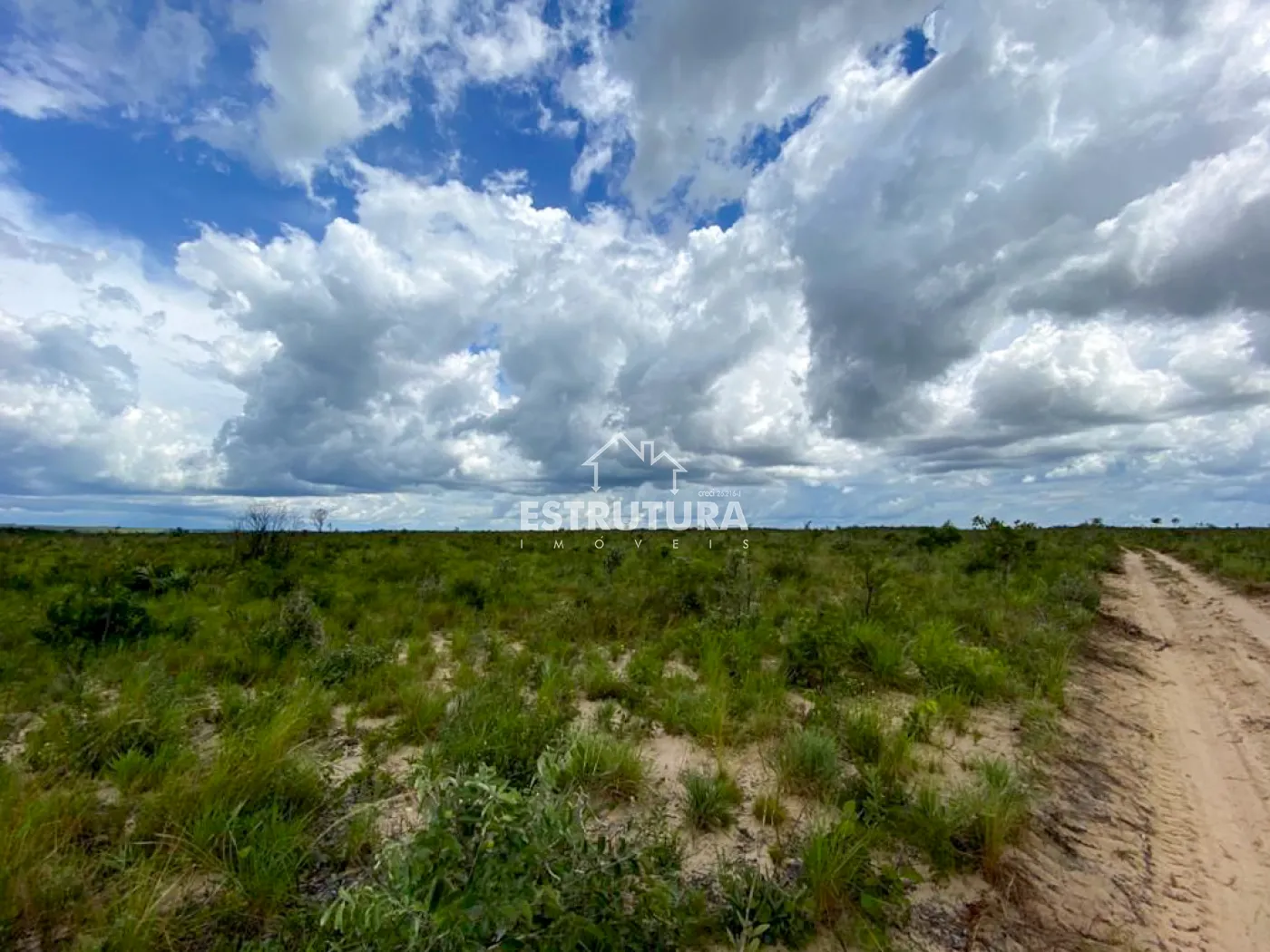 Comprar Rural / Fazenda em Novo Acordo R$ 21.840.500,00 - Foto 8
