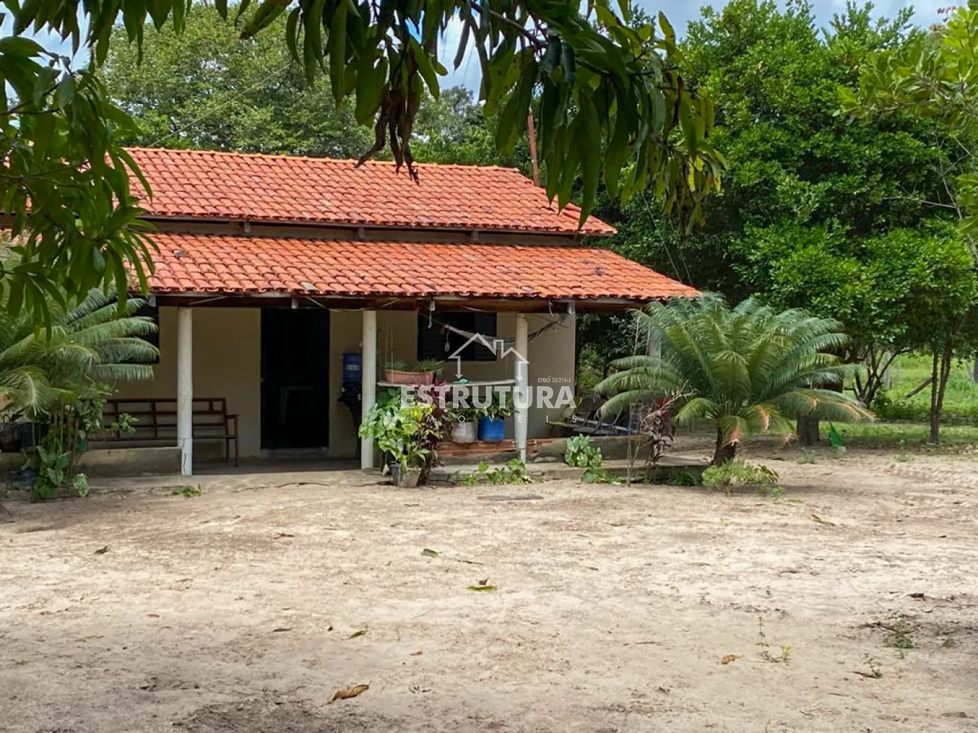 Comprar Rural / Fazenda em Novo Acordo R$ 21.840.500,00 - Foto 9