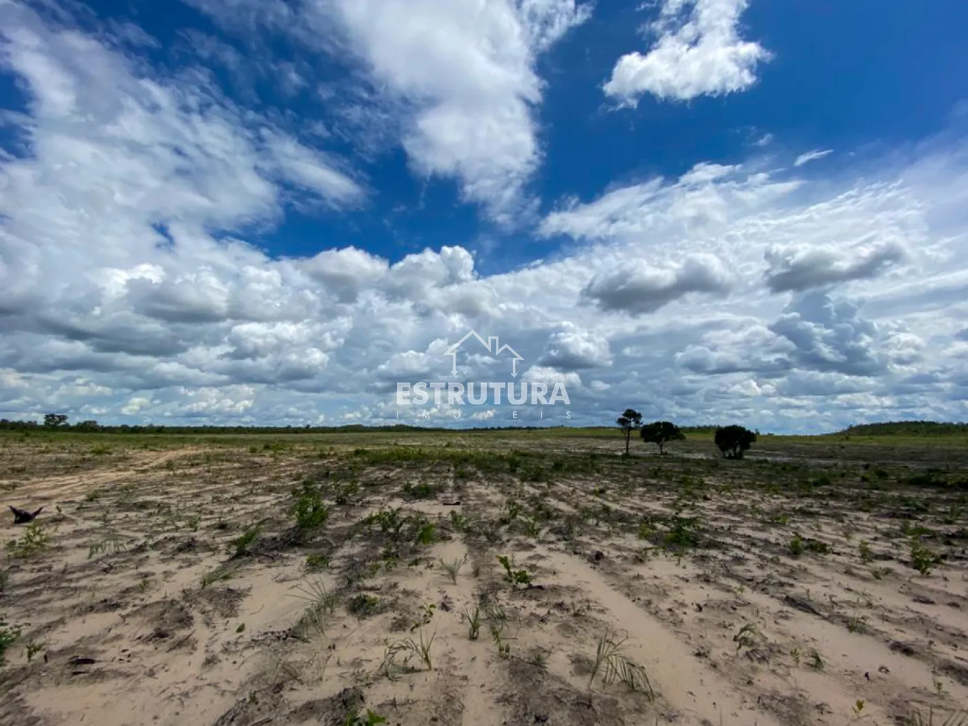 Comprar Rural / Fazenda em Novo Acordo R$ 21.840.500,00 - Foto 11