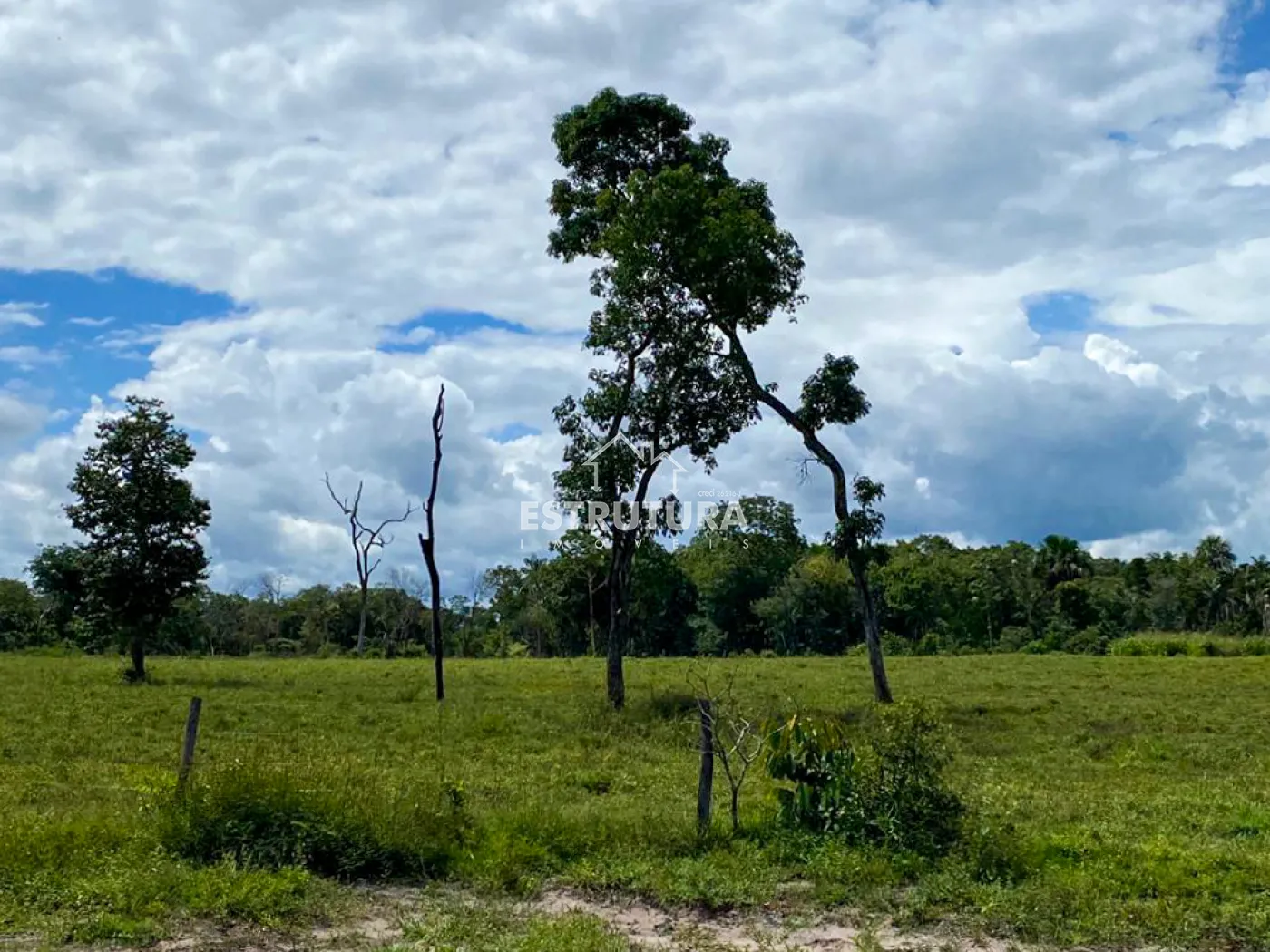 Comprar Rural / Fazenda em Novo Acordo R$ 21.840.500,00 - Foto 14