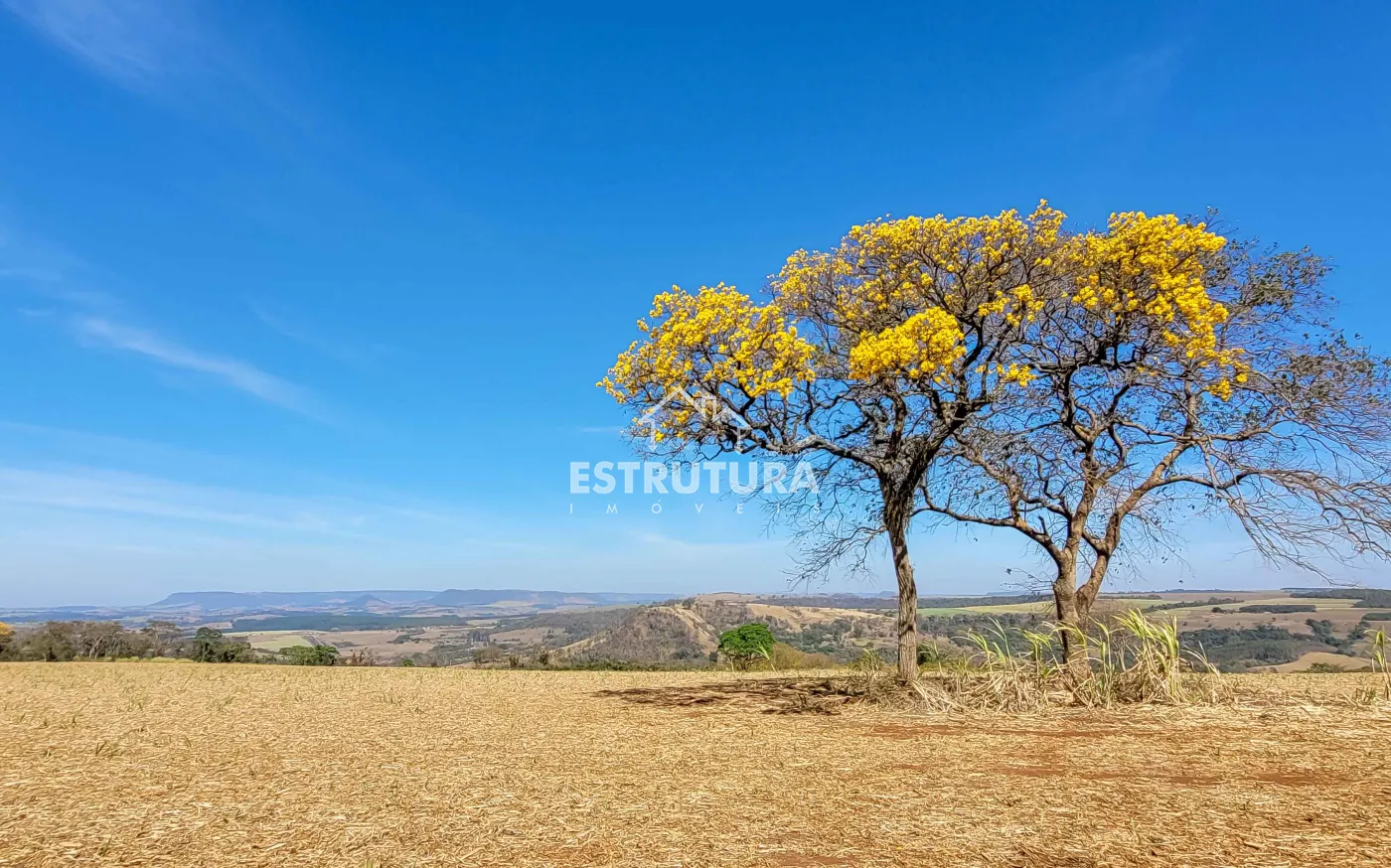 Comprar Rural / S&iacute;tio em Corumbata&iacute; R$ 4.255.000,00 - Foto 35