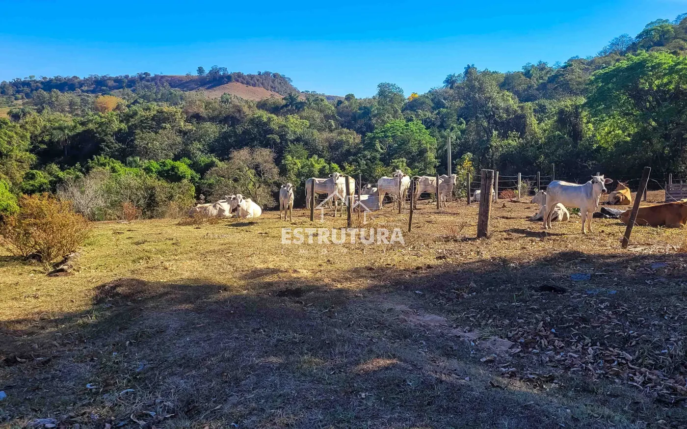 Comprar Rural / S&iacute;tio em Corumbata&iacute; R$ 3.600.000,00 - Foto 10