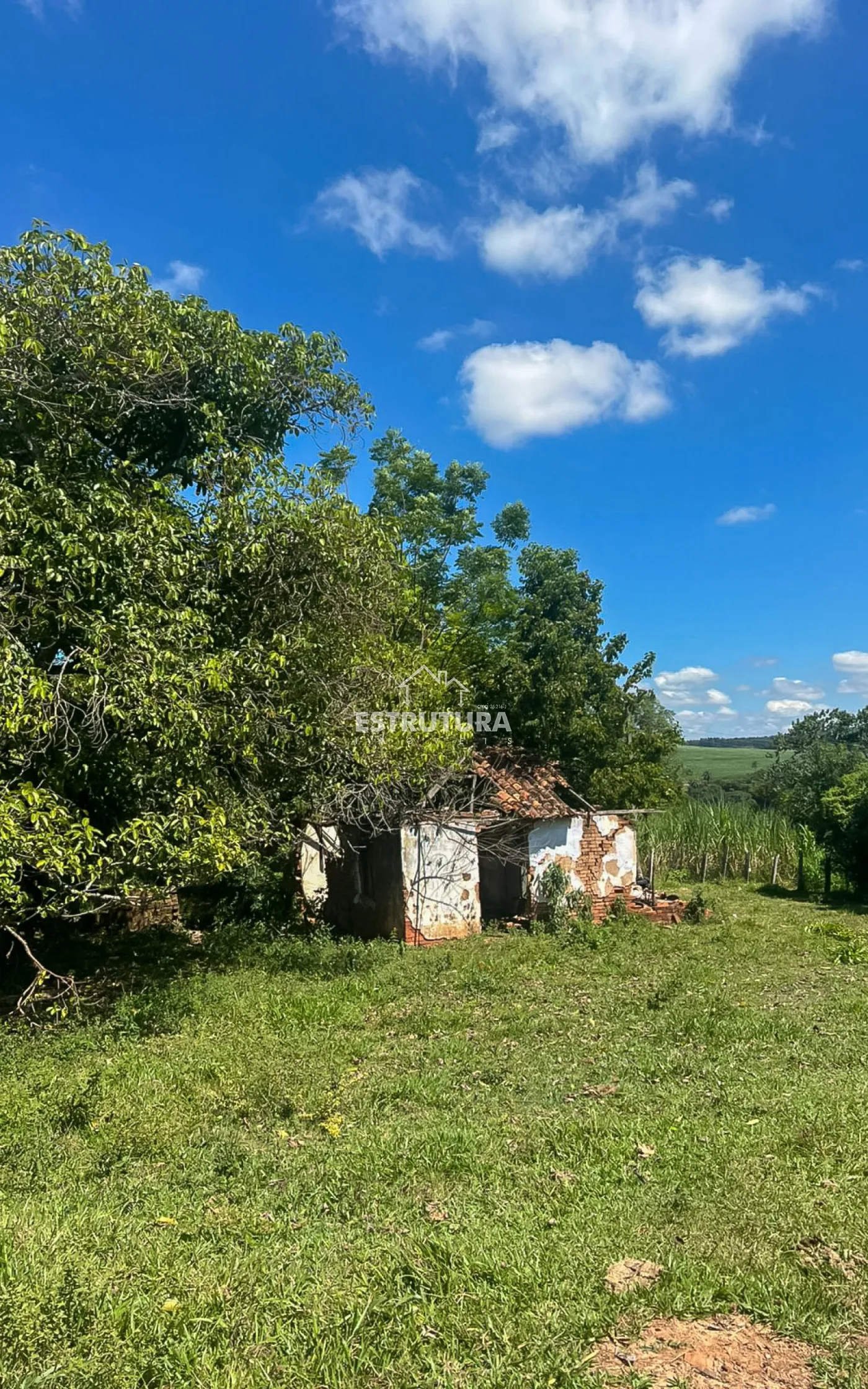 Comprar Rural / S&iacute;tio em Corumbata&iacute; R$ 410.000,00 - Foto 6