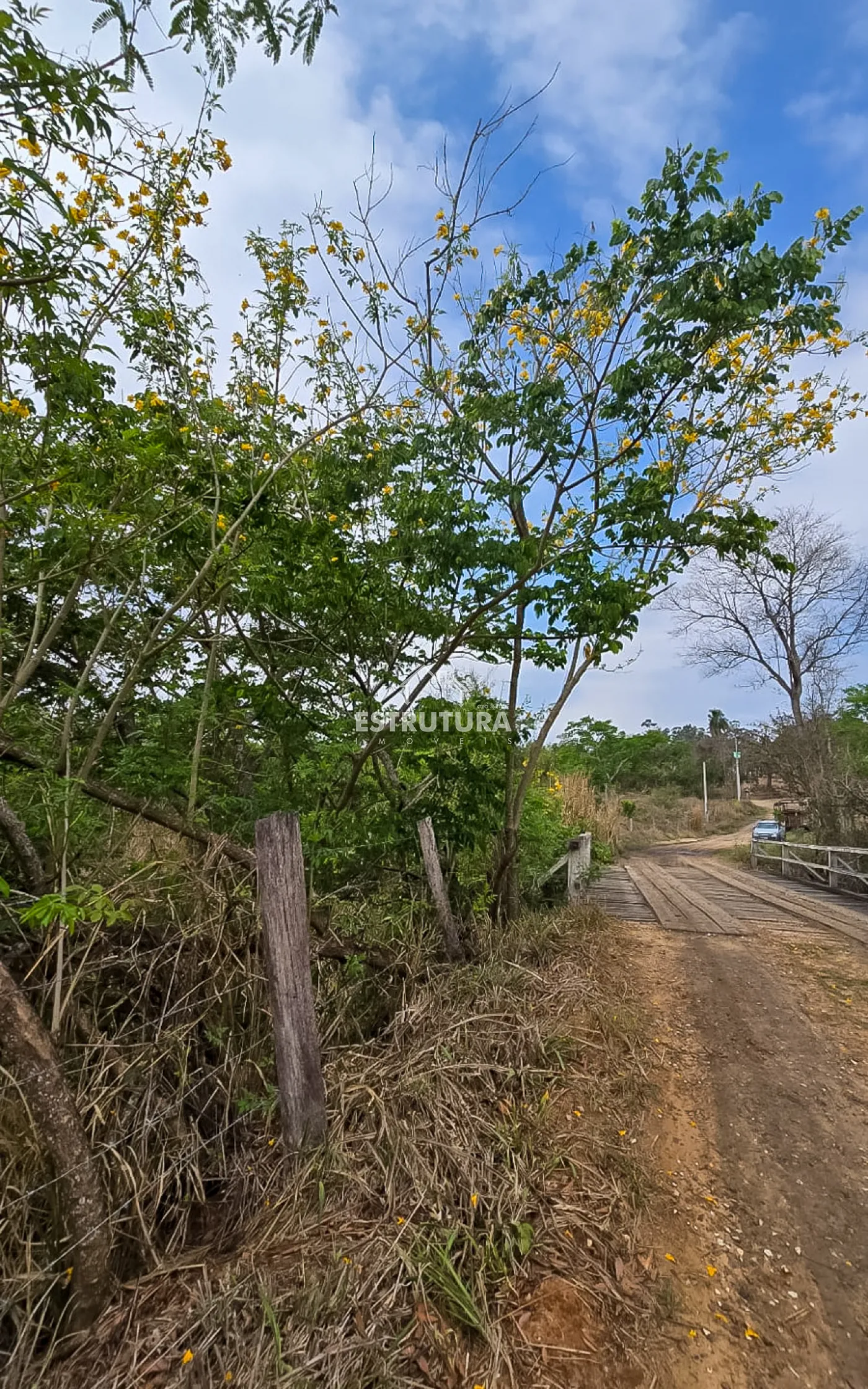 Comprar Terreno / &Aacute;rea em Corumbata&iacute; R$ 268.000,00 - Foto 10