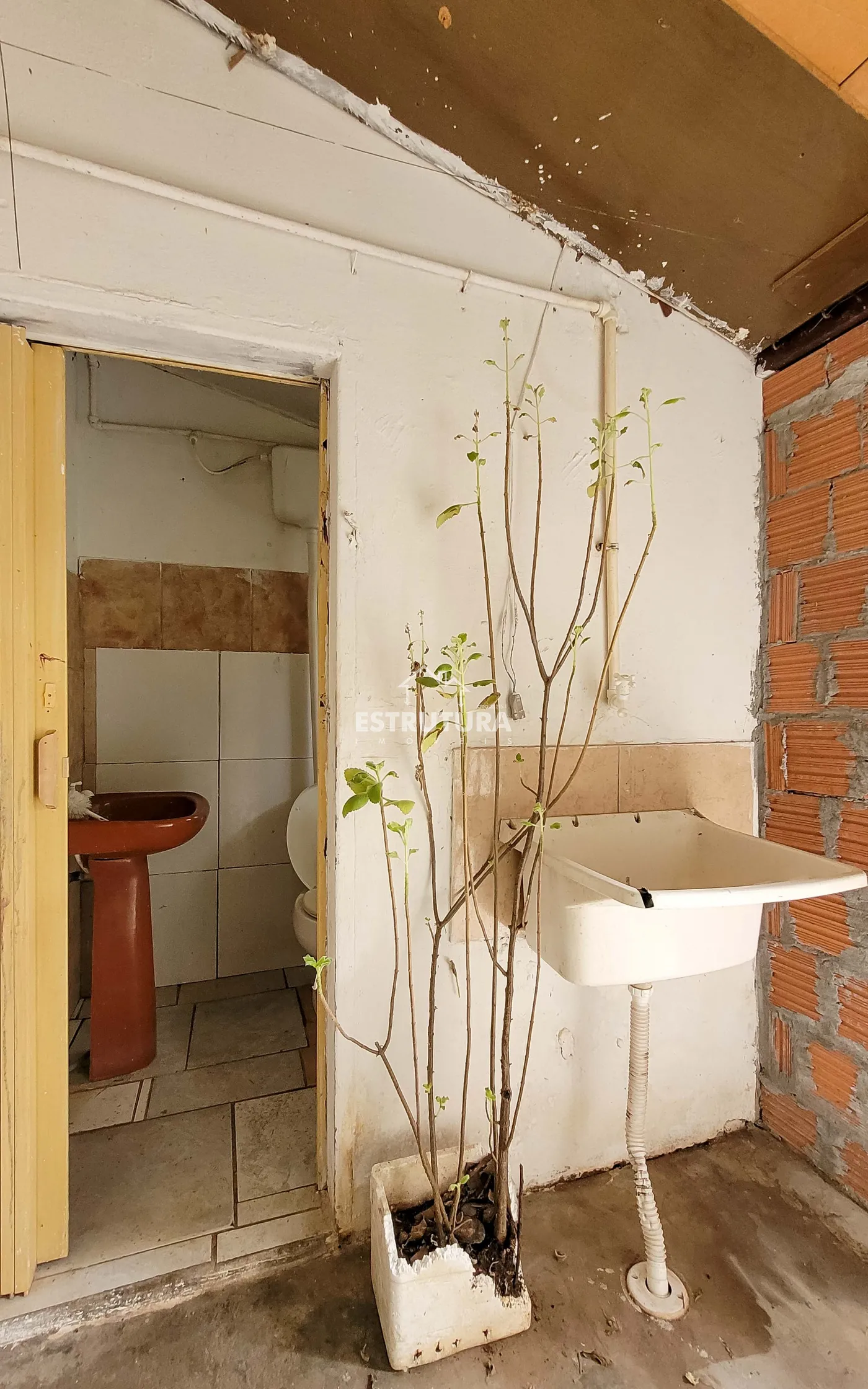 Alugar Casa / Padr&atilde;o em Rio Claro R$ 650,00 - Foto 10